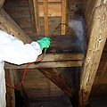 Holzschutzmittelbehandlung am Dachholz